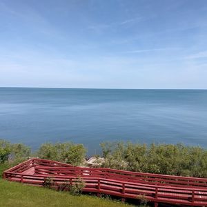 Meet your Posher, Patty